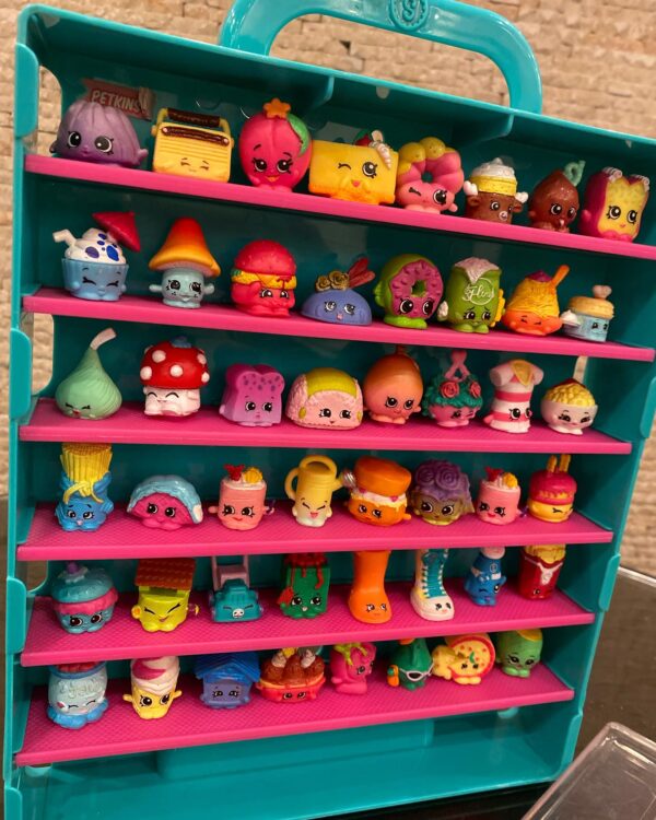 Shopkins Collector Case with Beautiful and Unique 48