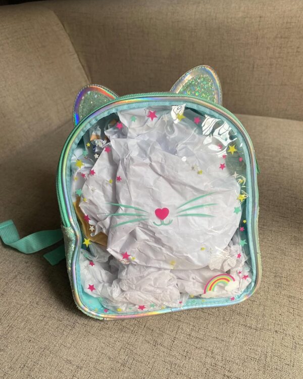 Cat Glittery Holographic Jelly Backpack