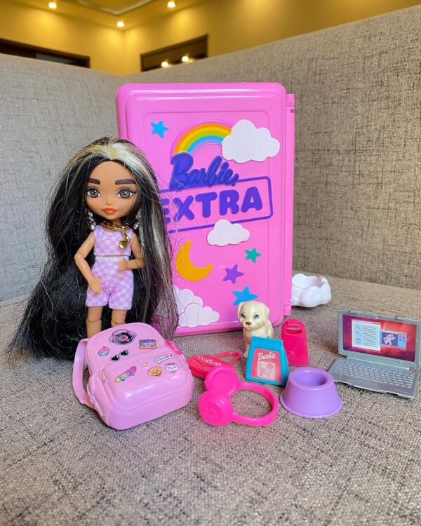 Barbie Extra with Accessories