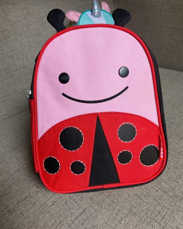 Skip Hop Ladybug Lunch Bag