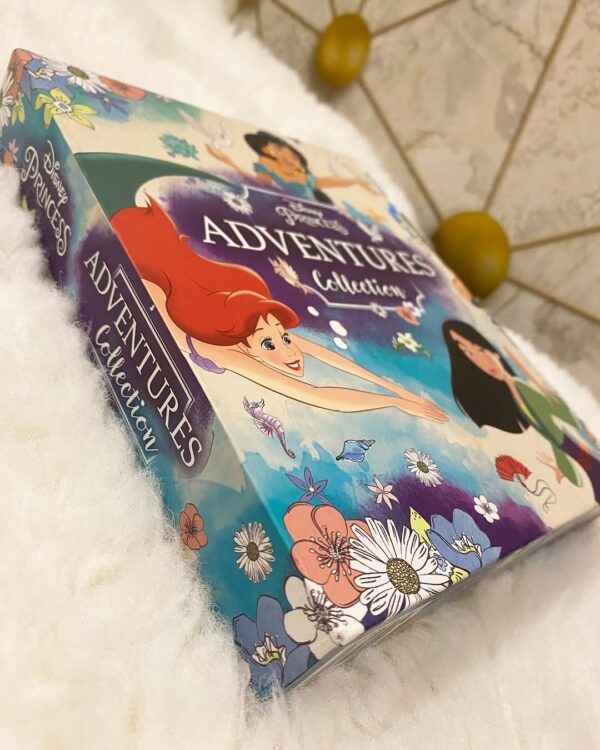 Disney Princess Adventures