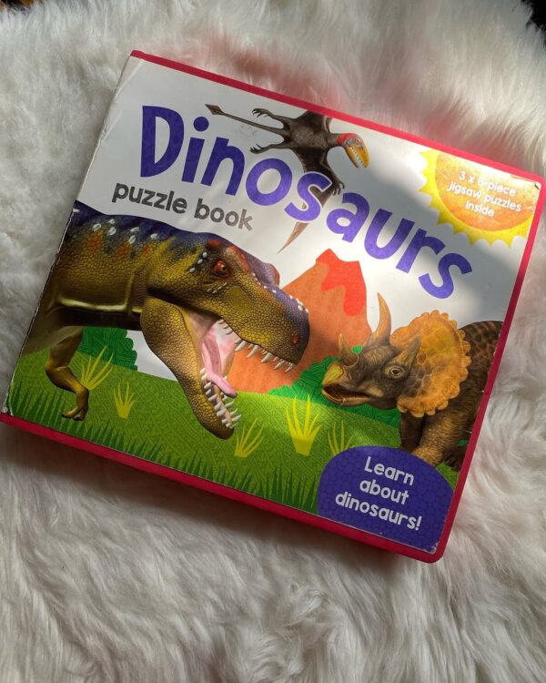 3 in 1 Dinosaurs Puzzles Book