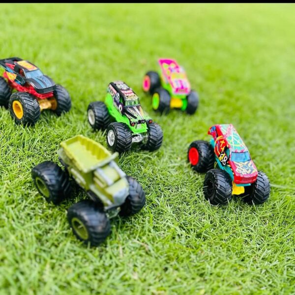 Hotwheels Monster Trucks