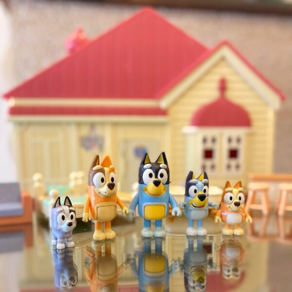 Bluey Family House